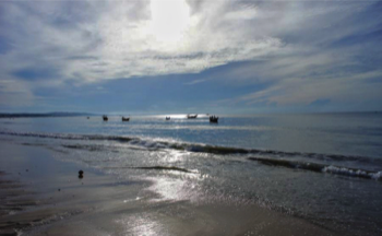 Fishing Boats, Phan Thit