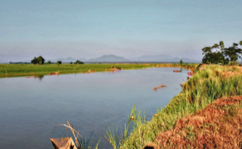 Sittang River, Madauk