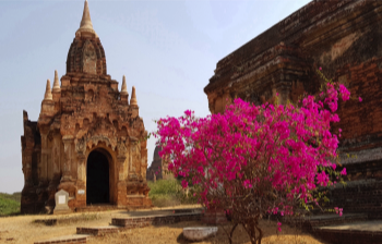 One of the Many Temples of Bagan